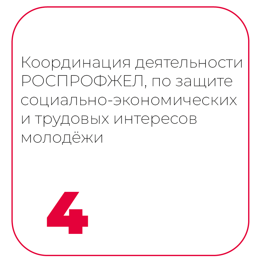 Координация деятельности по защите интересов молодёжи